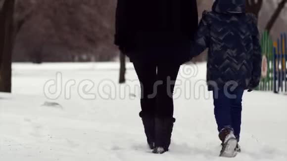 高清母子正在雪地上的冬季公园里散步视频的预览图