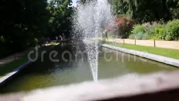 公园里的小城市喷泉视频的预览图