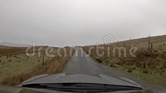 奶牛在拉塞岛上的单轨道行走苏格兰视频的预览图