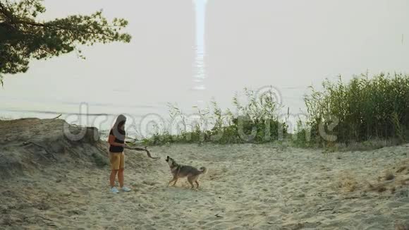 快乐的年轻女人在大河附近的松林里和她的混血狗玩动作很慢视频的预览图