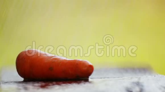 雨中桌子上有胡萝卜的构图视频的预览图