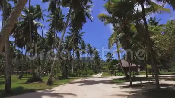 在塞舌尔拉迪格外岛棕榈树漫步3视频的预览图