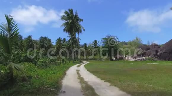 在塞舌尔拉迪格外岛棕榈树漫步4视频的预览图