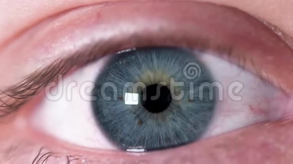 人眼特写镜头美丽的人眼蓝色的特写虹膜上有棕色斑点挤压人体的反应视频的预览图
