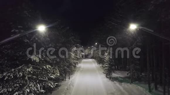 晚上在雪地里的公园小径剪辑在茂密的针叶林中明亮的灯光照亮了雪道视频的预览图