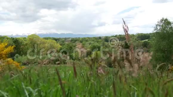 春天法国西南部的法国乡村景色视频的预览图