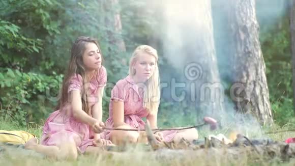 两个年轻的女人在日落时在公园野餐时玩得很开心暑假假期假期快乐视频的预览图