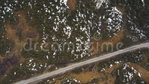 春季云杉混交林的鸟瞰图在阴天带着雄蜂的泰加风景视频的预览图