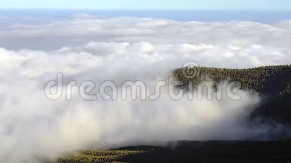 在西班牙加那利群岛特内里费的泰德国家公园云海穿越森林的时间流逝视频的预览图