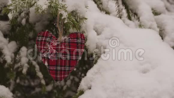 挂在雪杉树上的手工圣诞装饰视频的预览图