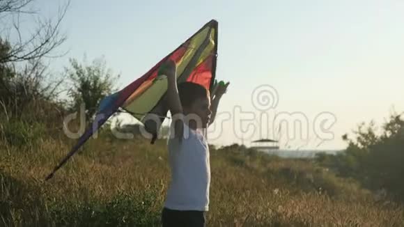 感受情感的心境快乐的小男孩在夏天的风景背景下玩五颜六色的风筝视频的预览图