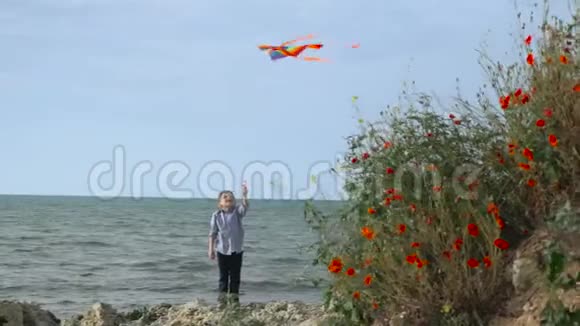 假期幸运的小男孩五彩斑斓的条纹风筝在蓝天的沙滩上迎风游戏为孩子娱乐视频的预览图