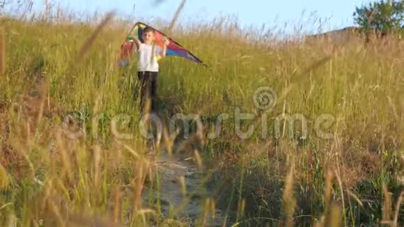小男孩在户外沿着小路跑把玩具风筝抱在头上获胜概念视频的预览图