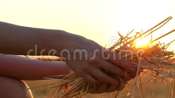 稻草在女孩的手中特写太阳的光线在日落时穿过视频的预览图