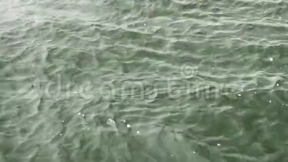 近景湖看或海洋水面波浪表面视频的预览图