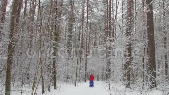 妈妈和她的孩子在婴儿车里散步冬天在美丽的雪地公园里散步视频的预览图