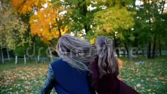 快乐的女孩在户外玩得开心女孩们在草地上逃跑两个女孩手牵着手跑过田野视频的预览图