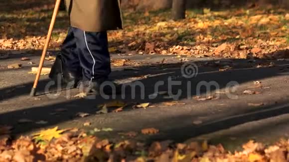 老人在秋天公园里用棍子走路视频的预览图