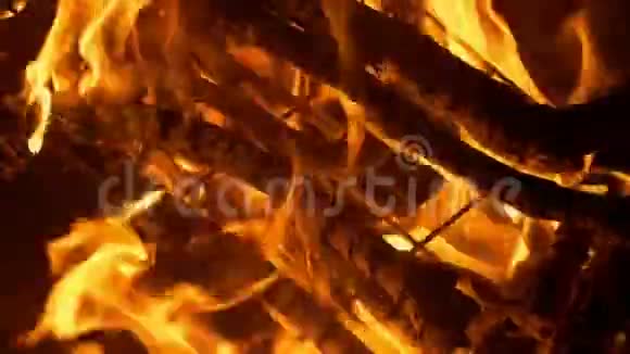 营火烧烤夜间燃烧视频的预览图