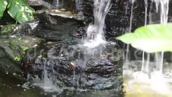 小瀑布在夏日的阳光下点缀在池塘里视频的预览图
