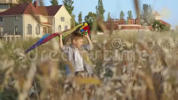在他家附近玩可爱的小男孩玩风筝他的手在阳光的头顶上放风筝视频的预览图