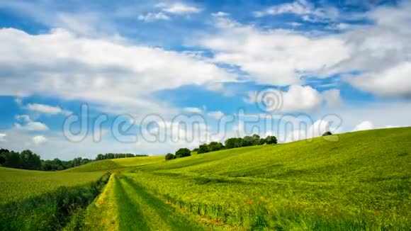 绿色的田野蓝天白云视频的预览图