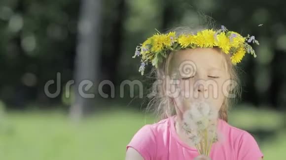 树林里一个有趣的小女孩的肖像一个没有门牙的孩子吹在干蒲公英上笑着花环视频的预览图