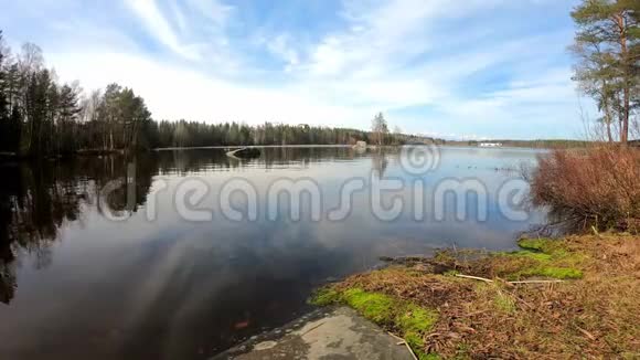 迷人的宁静的清水湖周围是松树桦树和云下的风景美景视频的预览图