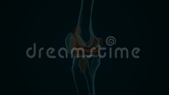 人膝关节置换X光检查视频的预览图