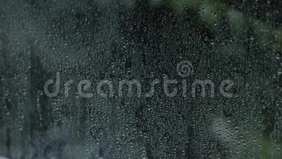 雨滴落在窗户上的黑暗树木的背景上视频的预览图