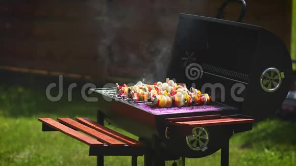 在户外夏季烧烤上提供五颜六色美味的烤肉视频的预览图