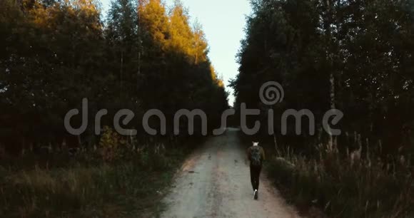 空中无人机观看森林中的道路村子里的绿树有松树和冷杉的俄罗斯风景晴天视频的预览图