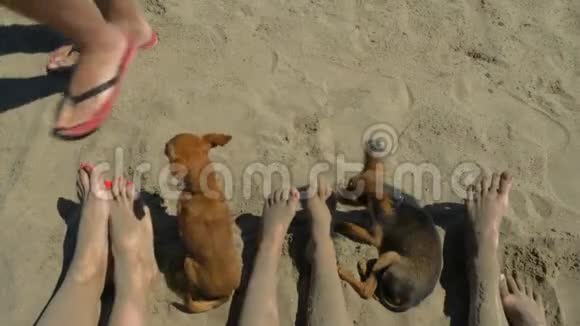 一家人光着脚在岸上视频的预览图