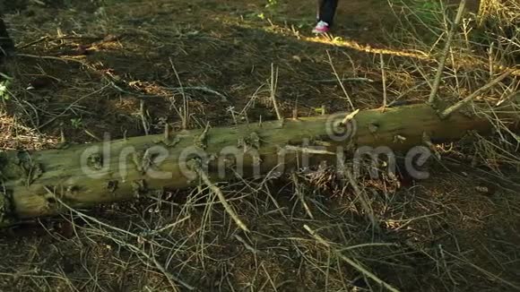 一男一女坐在帐篷附近在烤架上烤肉在电脑上工作的女人视频的预览图