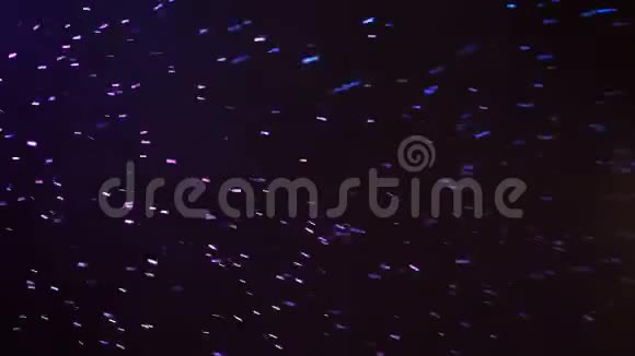 在蓝色和紫色的聚光灯下飘落的雪花雪落在黑暗的天空上摘要背景视频的预览图