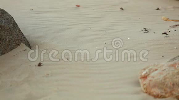 步行者站在白色沙滩上岩石干燥视频的预览图