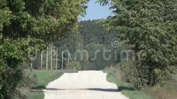 带树影的乡村砾石路视频的预览图