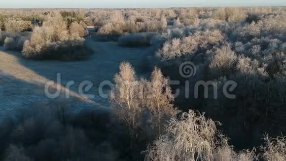 清晨草地和树林上的第一次秋霜空中视频的预览图