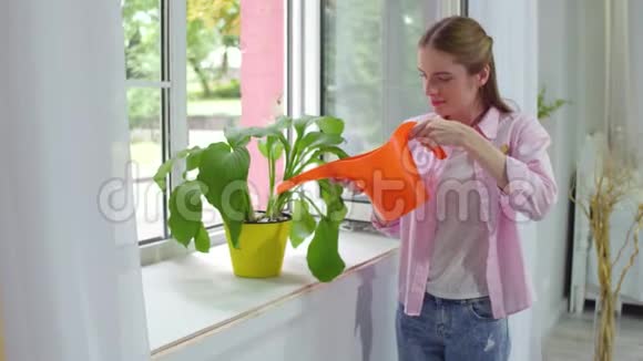 女孩用水浇植物罐视频的预览图