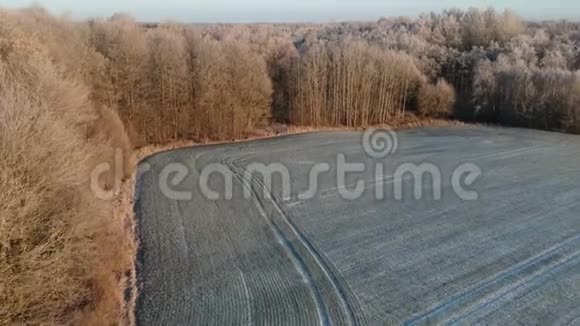 第一次秋霜在农田和树林上空中视频的预览图