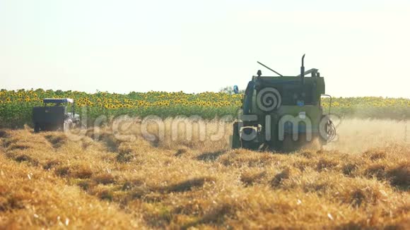 联合收割机收割玉米田视频的预览图