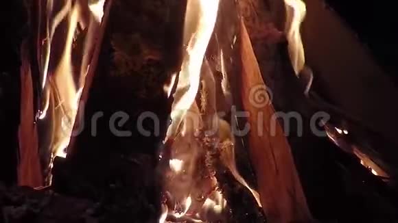 晚上篝火晚会明亮的燃烧的木柴背景视频的预览图