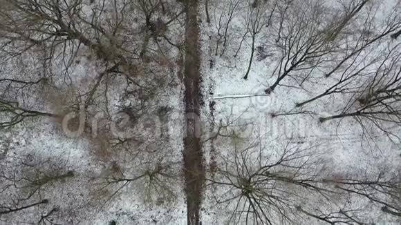 杜伊斯堡市工业背景下冬季森林的影像和路径视频的预览图