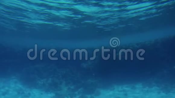 4k摄像机在沙海海底珊瑚礁上移动的慢动作视频视频的预览图