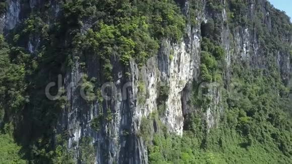 空中俯瞰陡峭的悬崖覆盖着野生丛林与天空视频的预览图