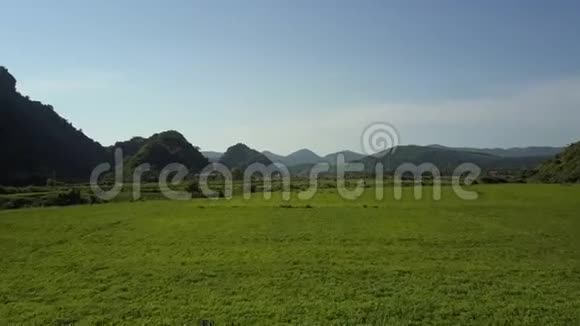 在蓝天下山谷的花生田上空近距离活动视频的预览图