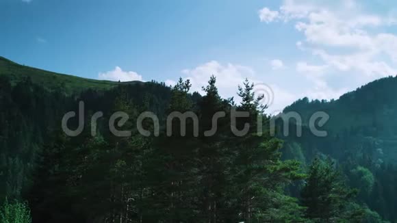 一座巨大的绿色森林山柯朱夫视频的预览图