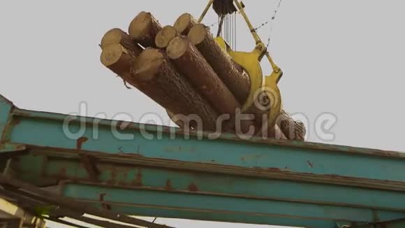 用起重机装载原木锯木厂的起重机装载原木在工厂工作视频的预览图