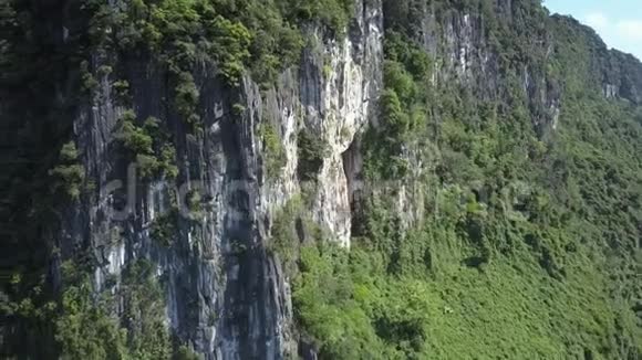 沿着灰白色石崖和附近的植物运动视频的预览图
