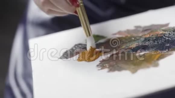 接近一个艺术家的画笔从一个调色剂艺术创造力爱好的概念棕色油漆行动妇女视频的预览图